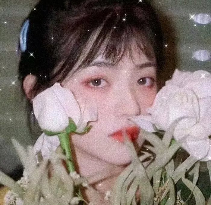 春满兰宫